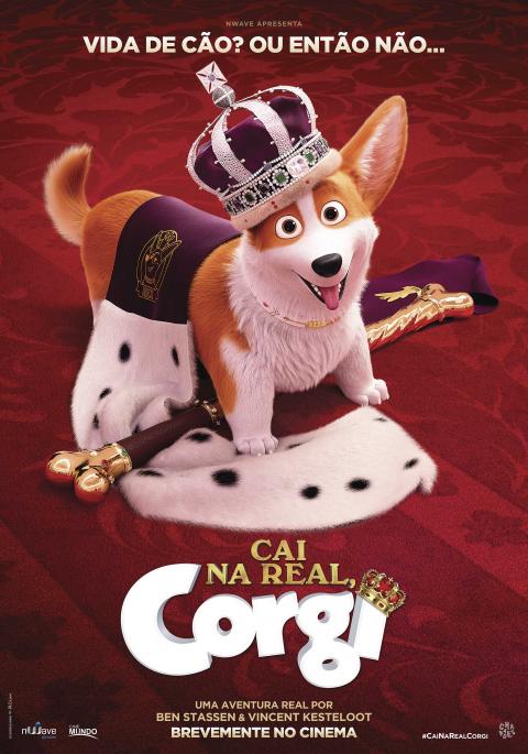 Cai Na Real, Corgi VP